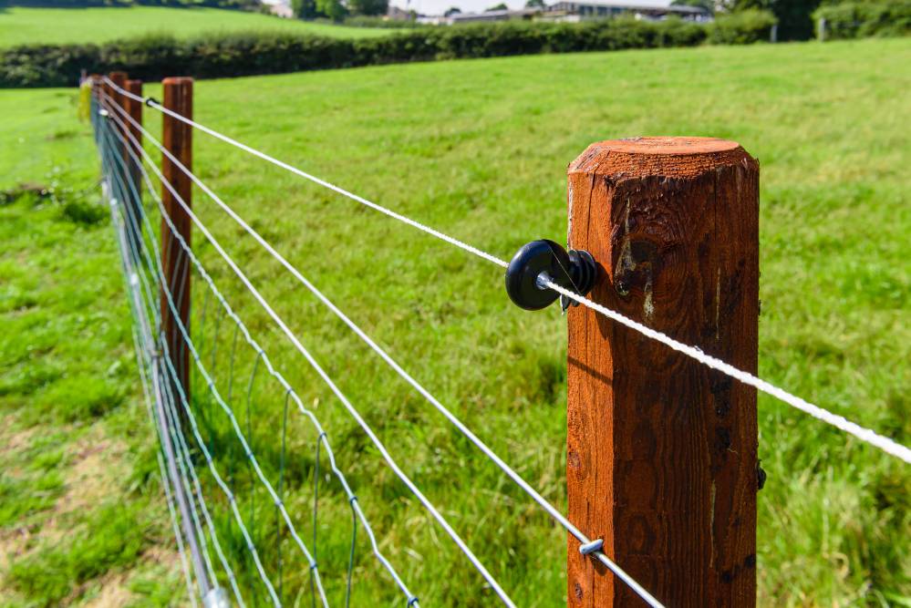 Pose de clôture électrique